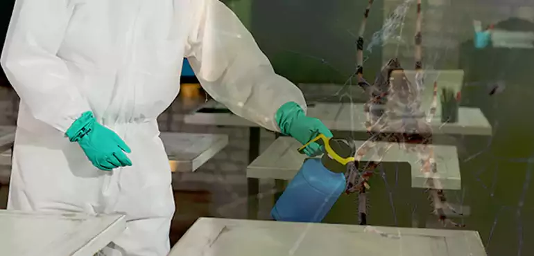 Why Buyers Still Want Homes With Pest Infestations in Oklahoma City, OK?