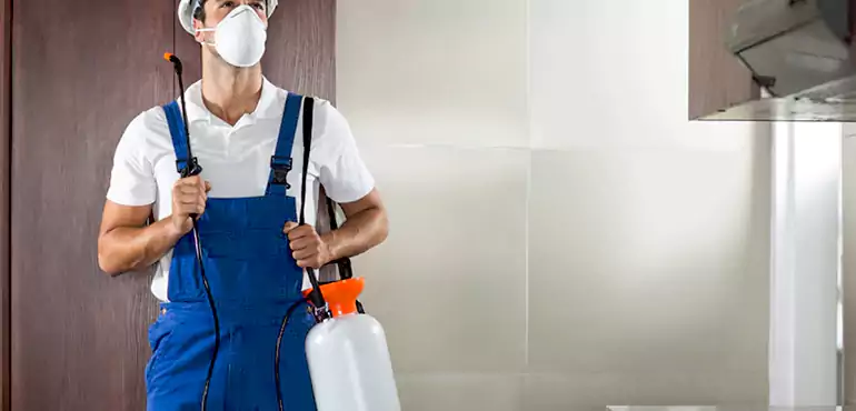 Why Oklahoma City Homeowners Choose Us When Pests Make Selling Difficult